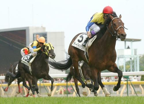 05年5月29日、第72回日本ダービーを勝って2冠
