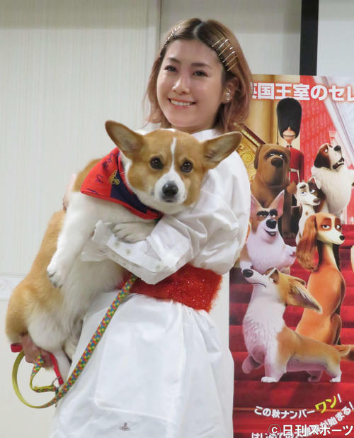 映画「ロイヤルコーギー　レックスの大冒険」愛犬同伴試写会に愛犬バルーと出席したIMALU（撮影・大井義明）