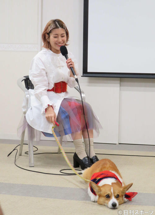 映画「ロイヤルコーギー　レックスの大冒険」愛犬同伴試写会に愛犬バルーと出席したIMALU（撮影・大井義明）