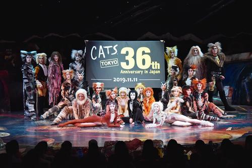 日本上演36周年を祝う劇団四季ミュージカル「キャッツ」