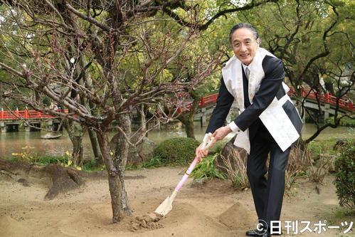 「菅原伝授手習鑑（てならいかがみ）」の成功祈願に訪れた太宰府天満宮で、梅を植樹する片岡仁左衛門