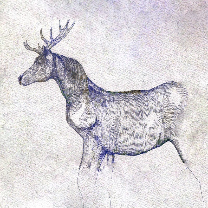 米津玄師の最新アルバム「STRAY　SHEEP」に収録される「馬と鹿」