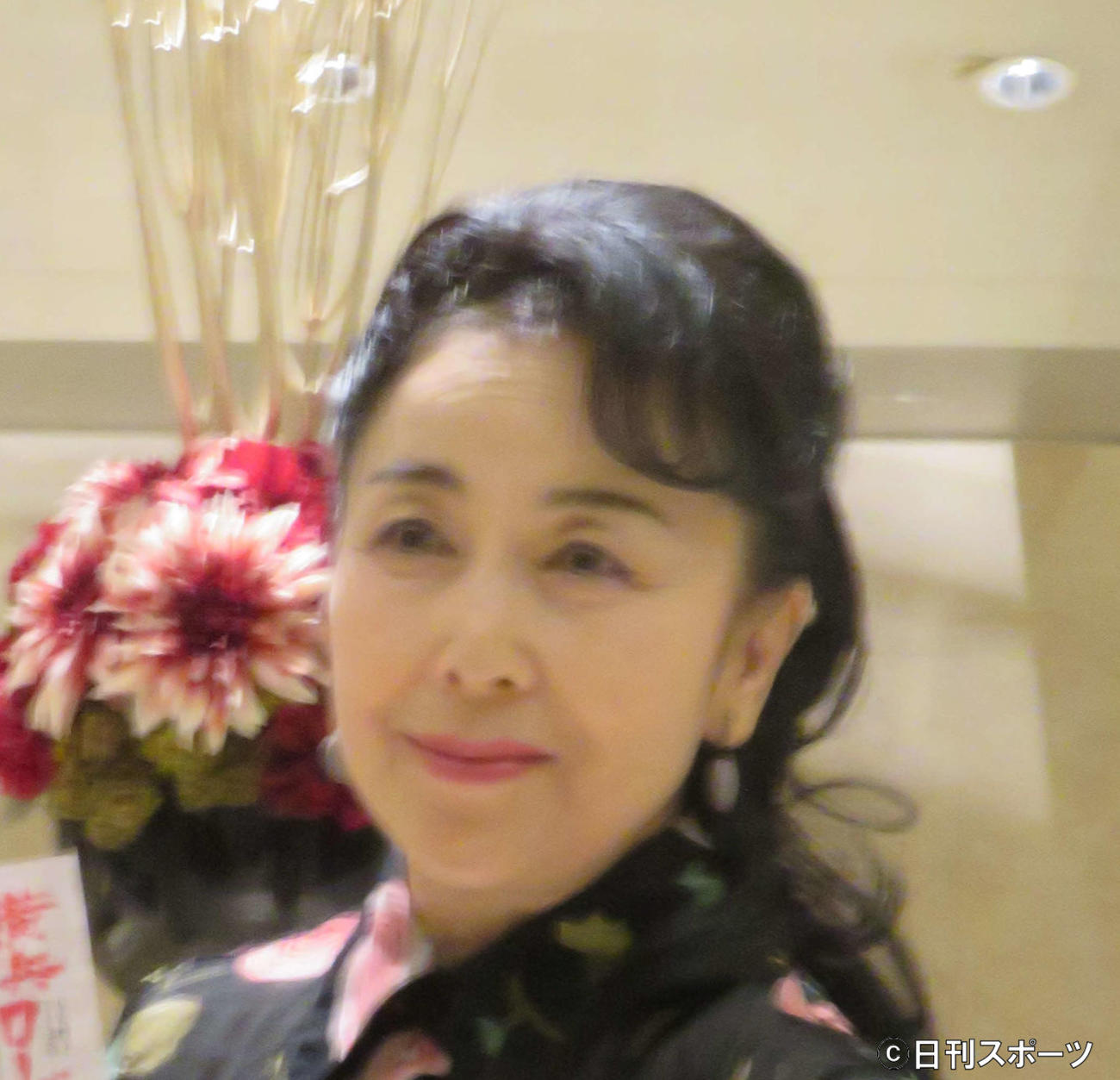 五大路子