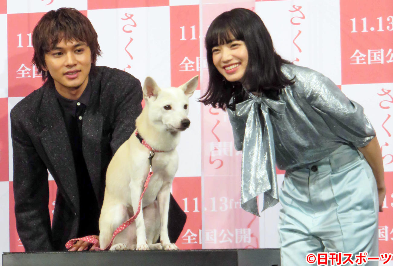 映画「さくら」の完成イベントに出席した北村匠海（左）と小松菜奈（右）と犬のちえ
