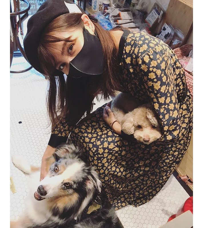 愛犬らをなでる石川恋