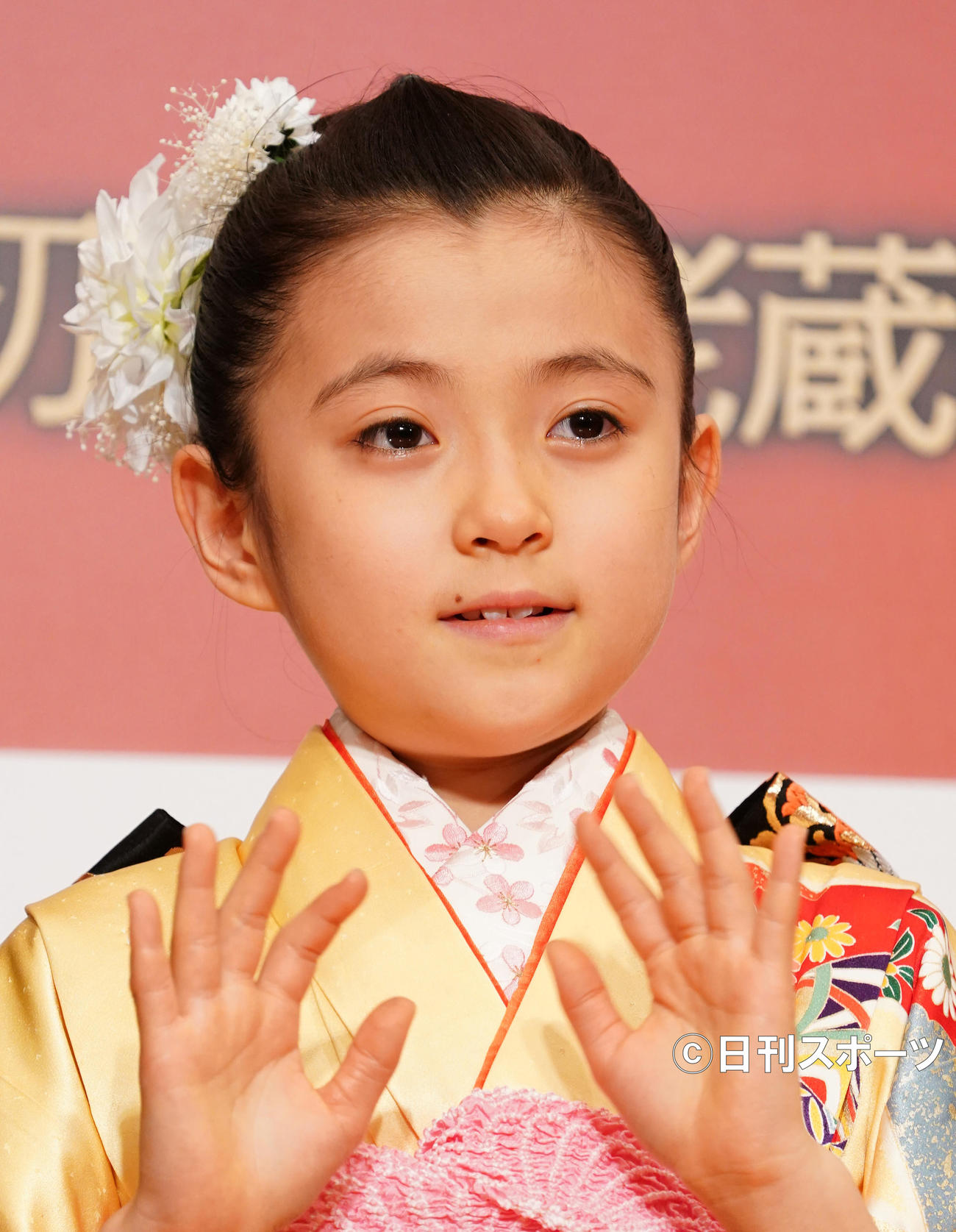 市川ぼたん（撮影・菅敏）