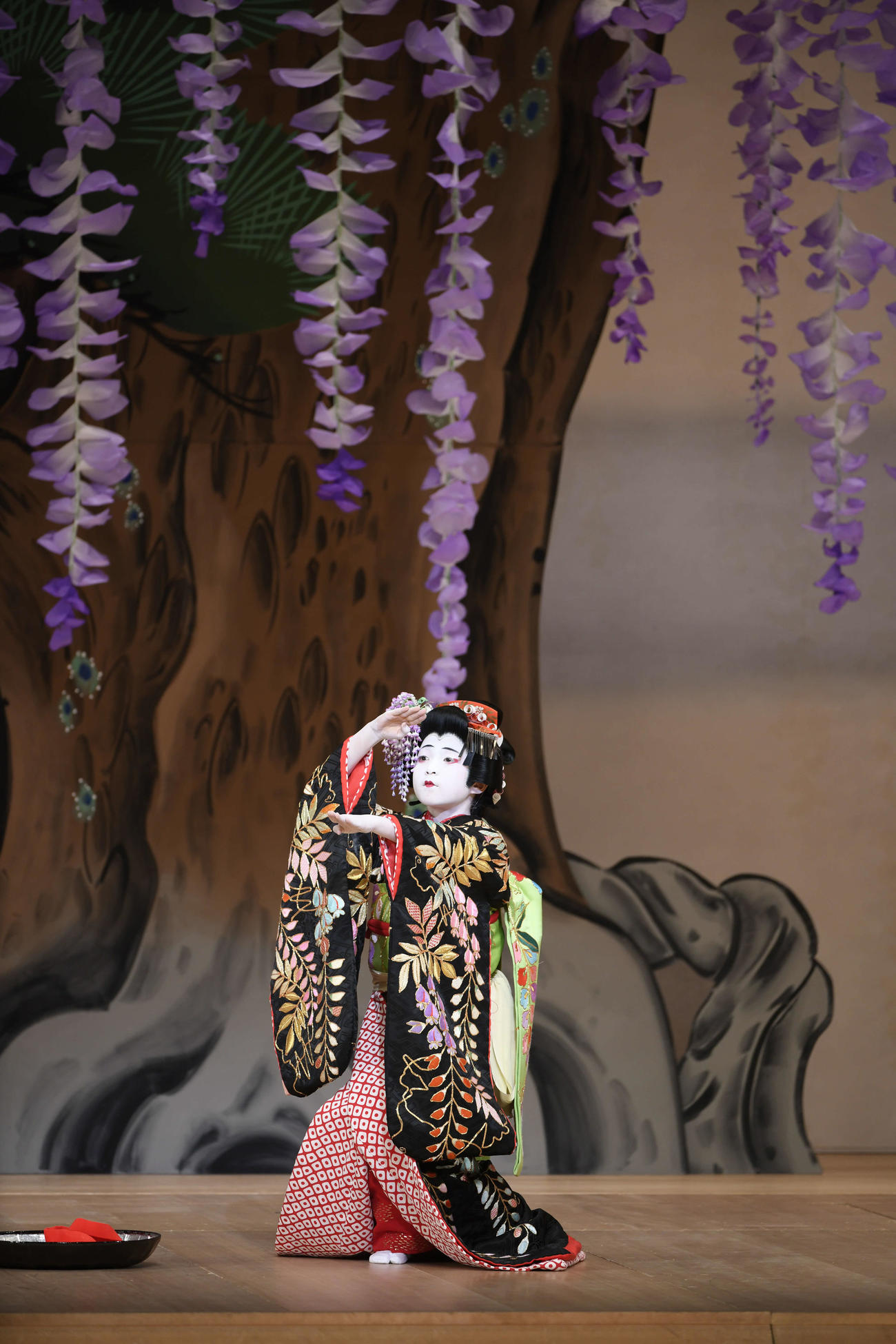 「初春海老蔵歌舞伎」で、市川ぼたんは「藤娘」に出演（Ｃ）松竹