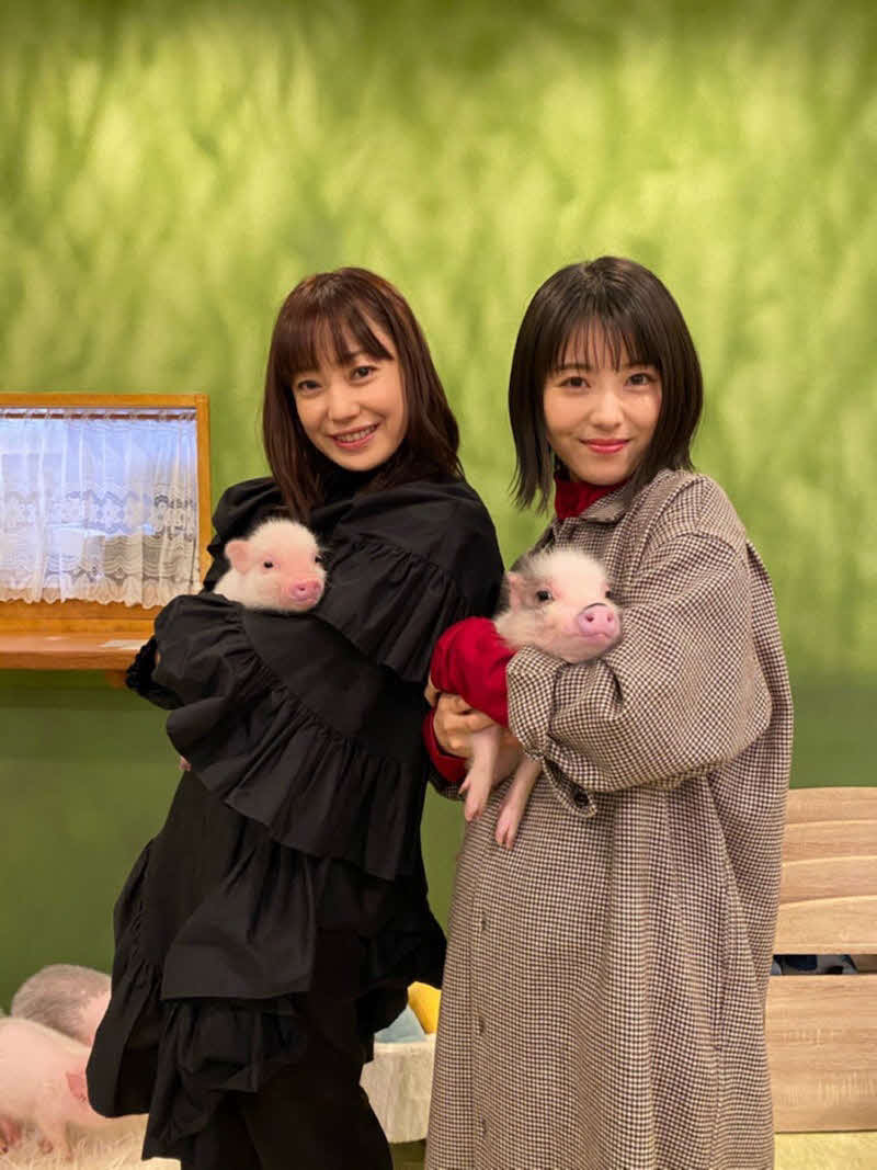 ミニブタを抱っこする菅野美穂（左）と浜辺美波（右）（「ウチの娘は、彼氏が出来ない！！」オフィシャルブログより）