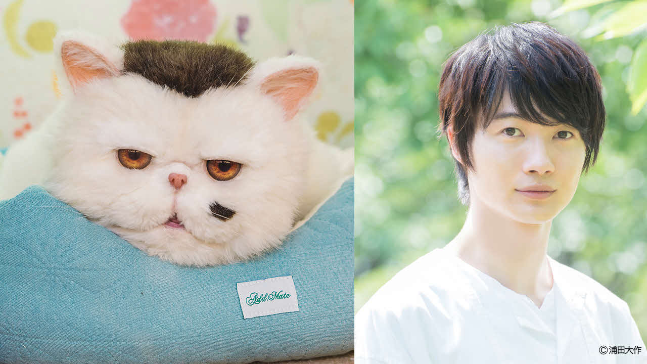 テレビ東京系ドラマ「おじさまと猫」で猫のふくまるの声を演じる神木隆之介。左はふくまる（C）「おじさまと猫」製作委員会