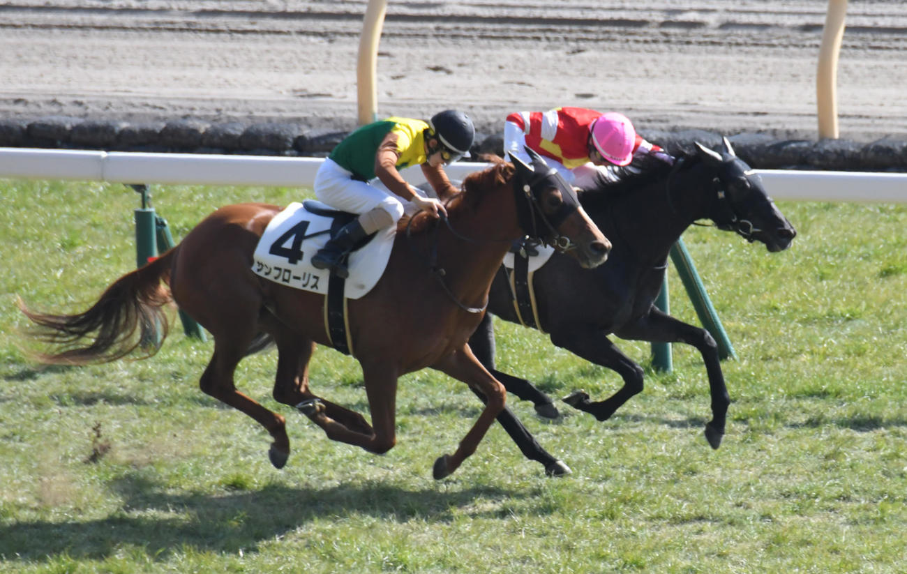 3歳未勝利戦を快勝したスノーハレーション