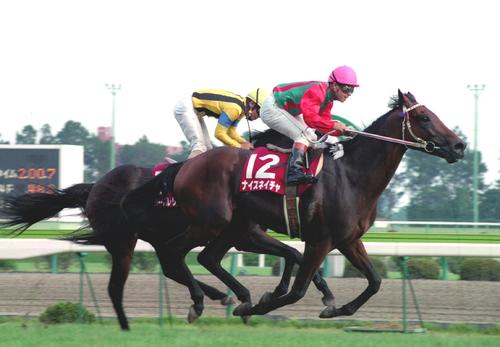９４年、高松宮杯を制したナイスネイチャ
