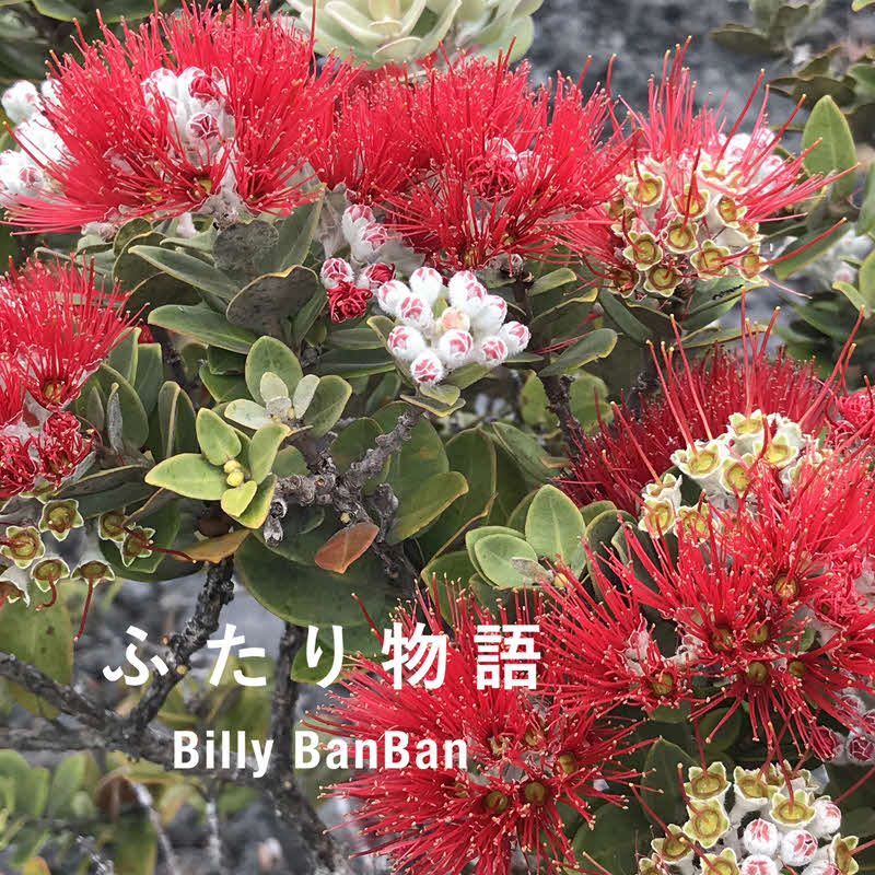 ビリー・バンバンの新曲「ふたり物語」