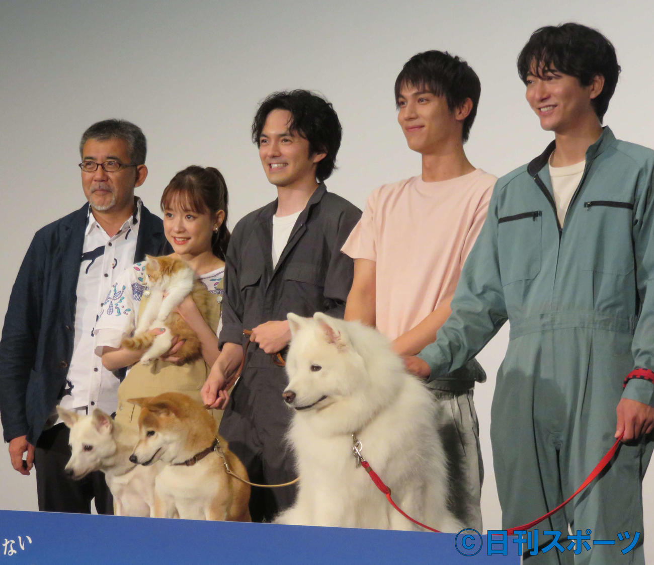 映画「犬部！」の完成上映会に出席した、左から篠原哲雄監督、大原桜子、林遣都、中川大志、浅香航大