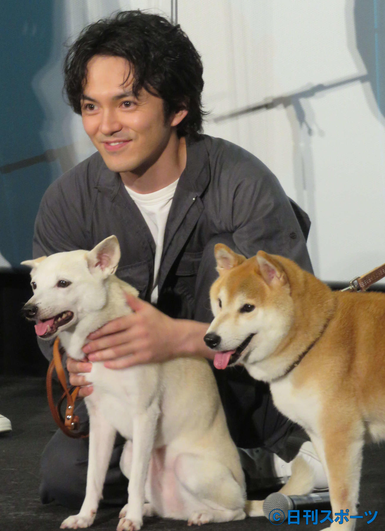 映画「犬部！」の完成上映会に出席した主演の林遣都