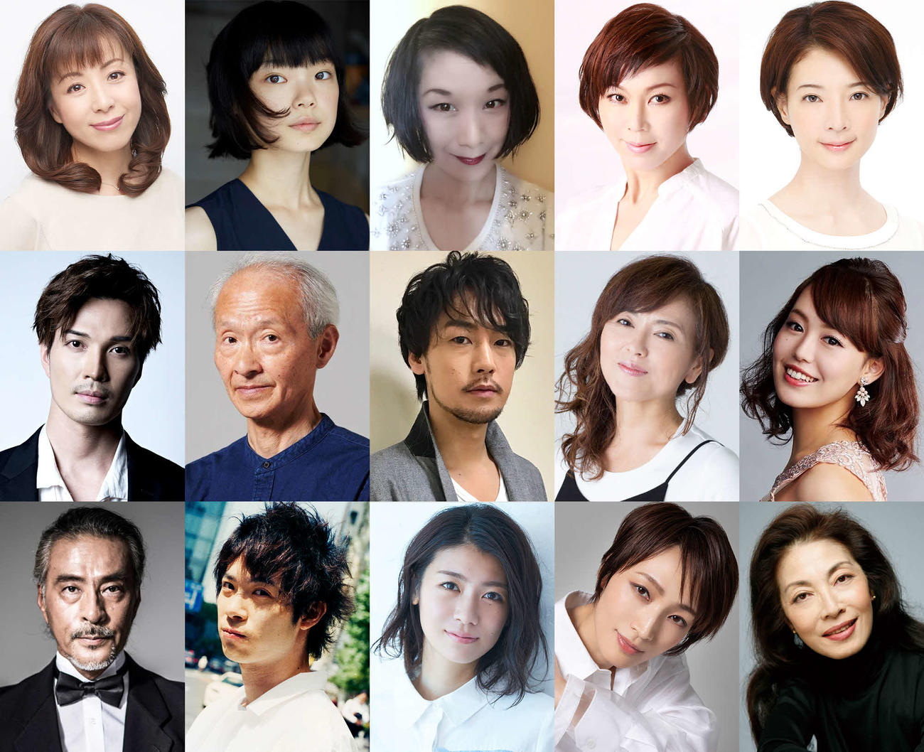 ミュージカル「INTO THE WOODS－イントゥ・ザ・ウッズ－」に出演する、上段左から羽野晶紀、古川琴音、毬谷友子、湖月わたる、朝海ひかる、中段左から広瀬友祐、花王おさむ、福士誠治、あめくみちこ、鈴木玲奈、下段左から福井貴一、渡辺大知、瀧内公美、望海風斗、麻実れい