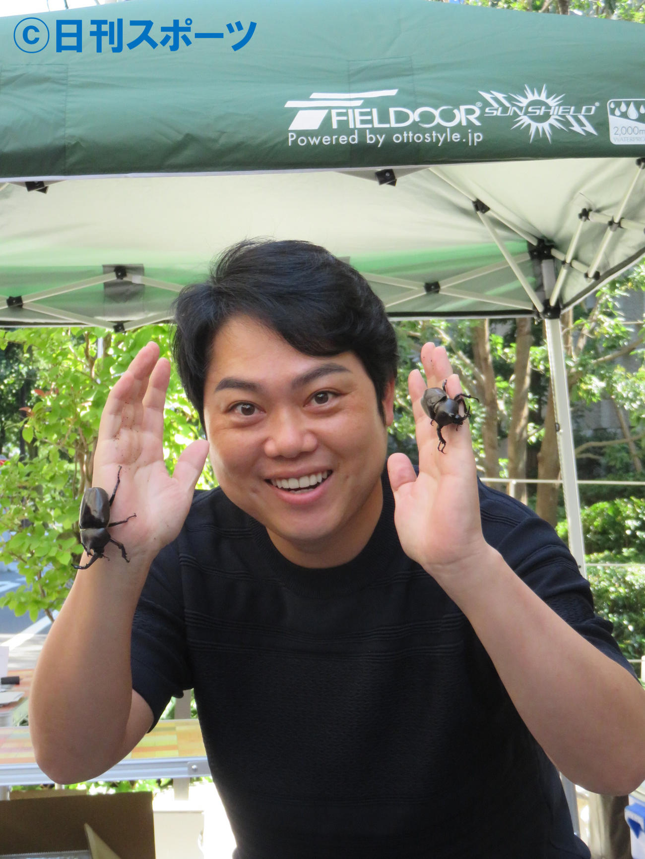 育てたカブトムシを披露する三山ひろし