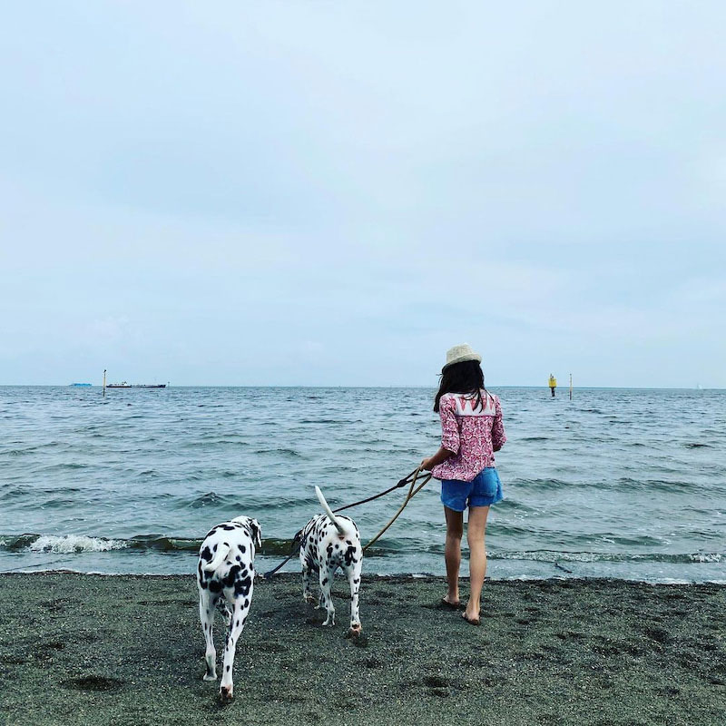 浜辺を歩く長女と愛犬たちの後ろ姿（高岡早紀オフィシャルブログ「But beautiful」から）