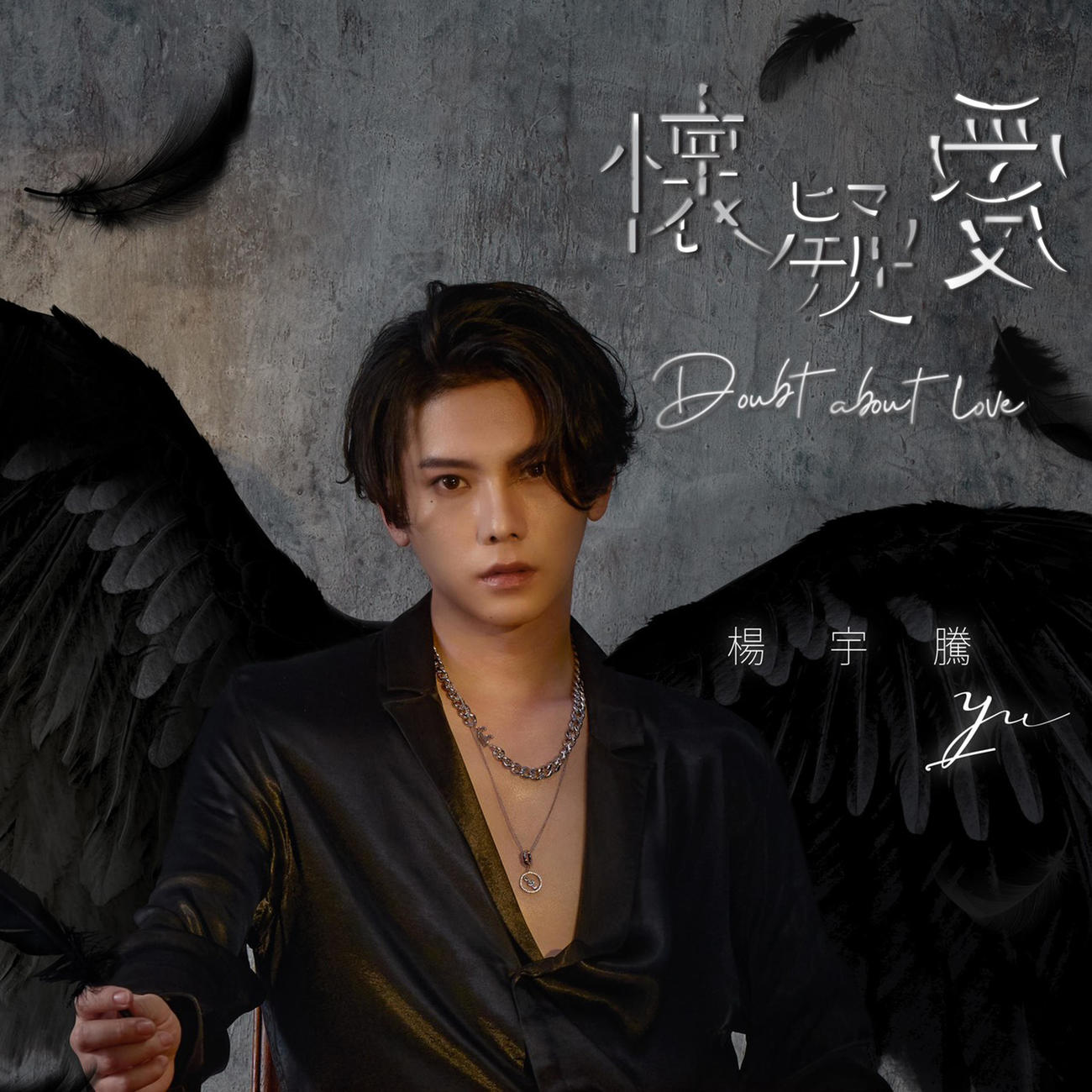 「邃宇Dark wings」ジャケット写真