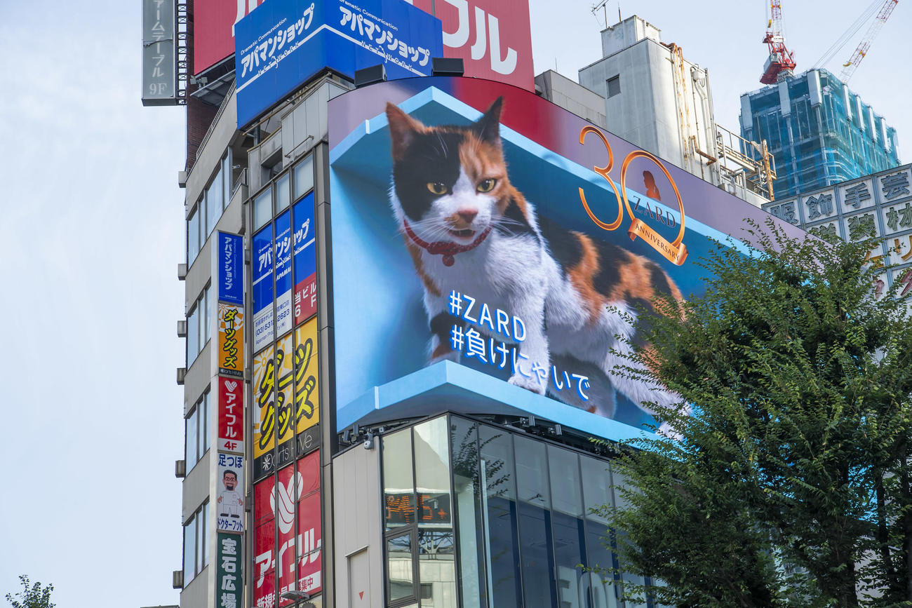 JR新宿駅前の巨大3D三毛猫と「＃負けにゃいで」のコラボ