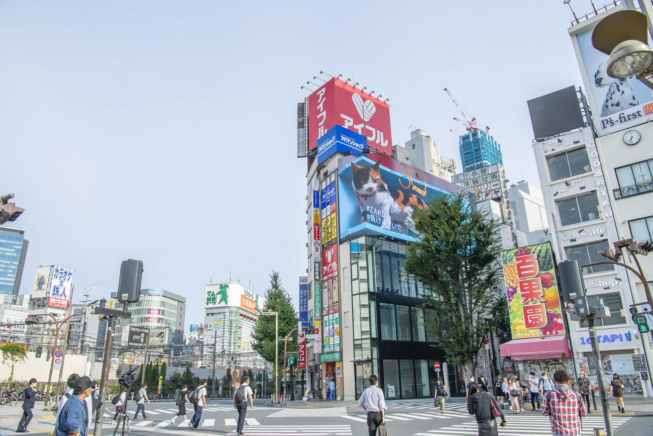 JR新宿駅前の巨大3D三毛猫と「＃負けにゃいで」のコラボ