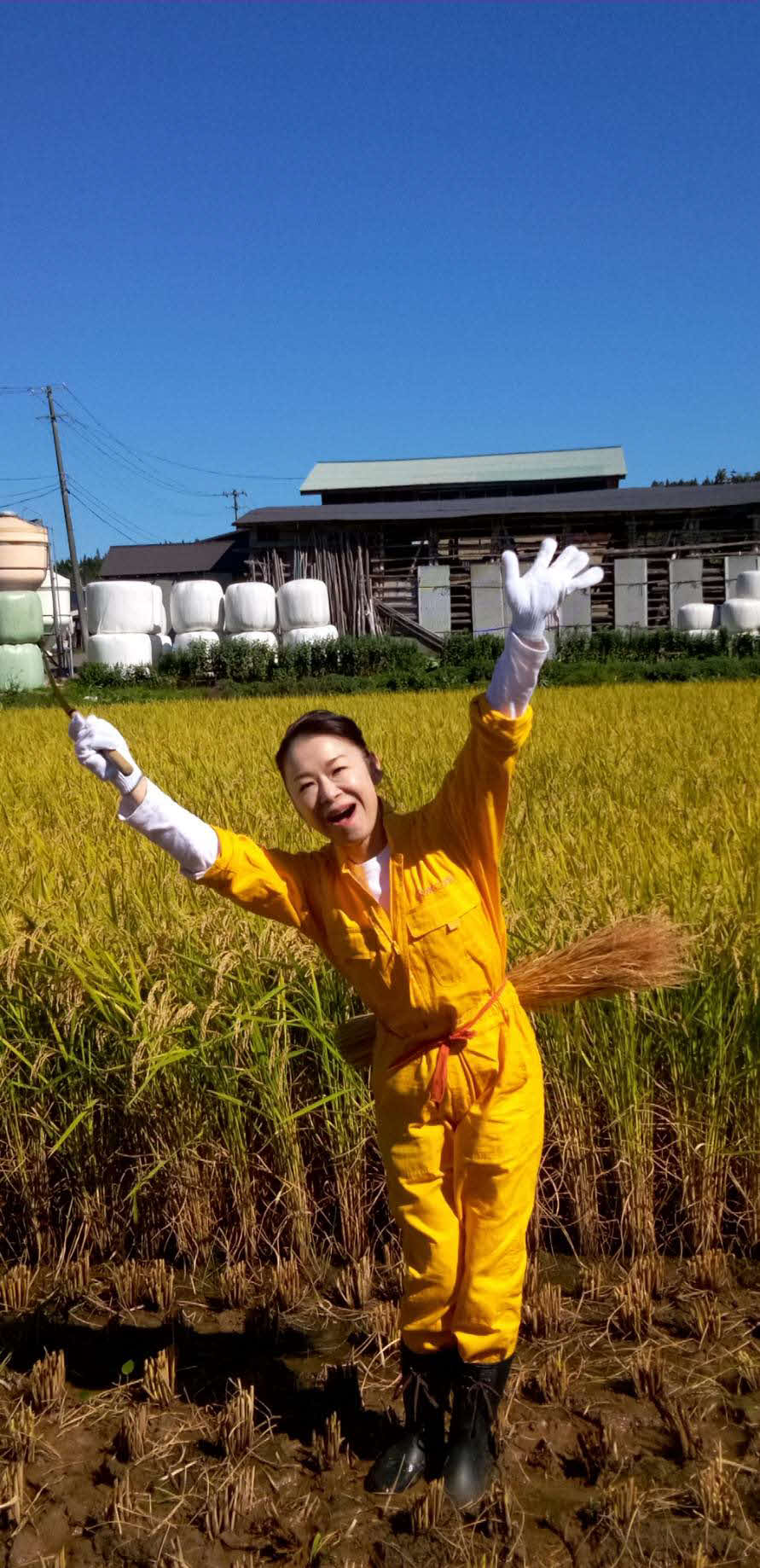 秋田県の実家で稲刈りを行った岩本公水