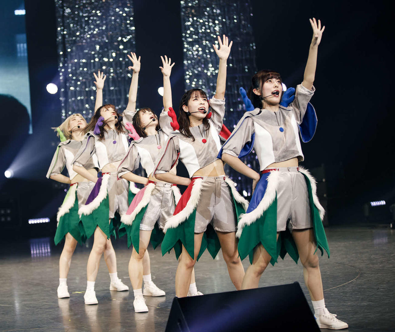 特別公演を行った豆柴の大群