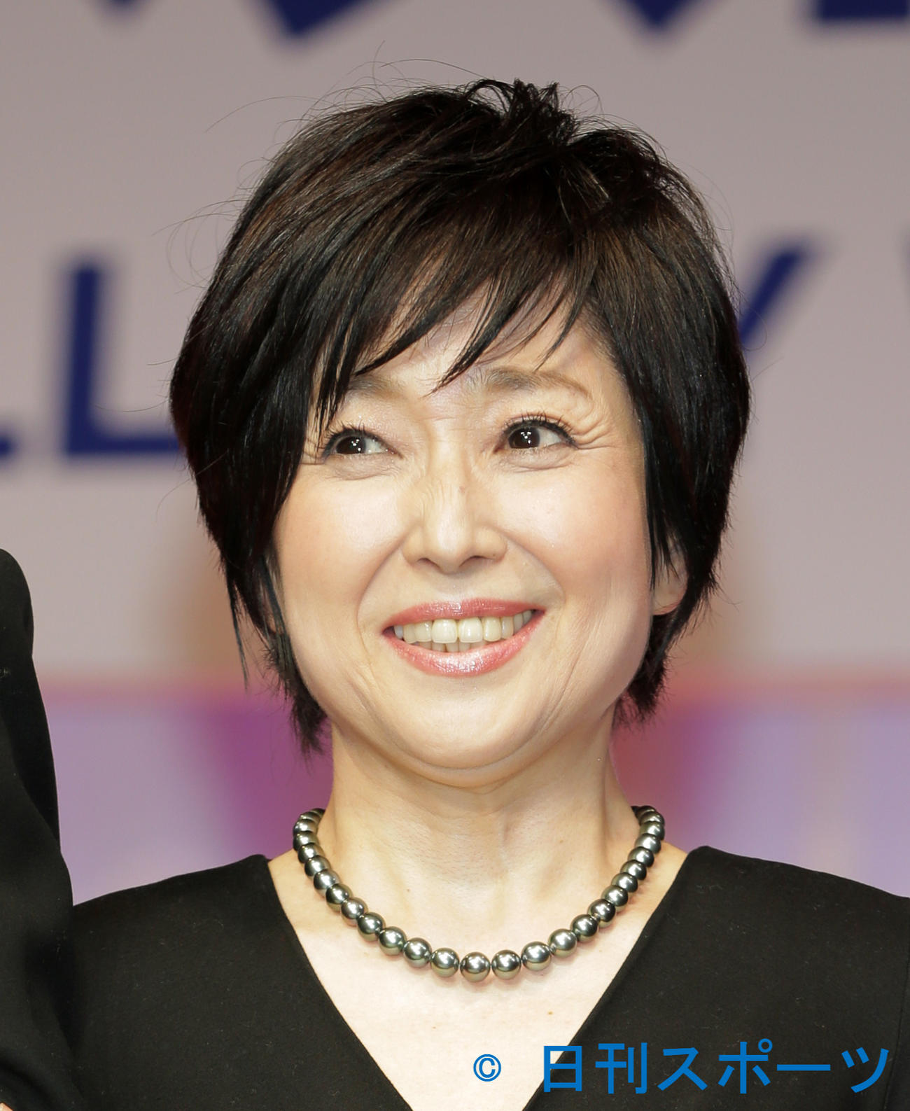 竹下景子（2014年1月撮影）