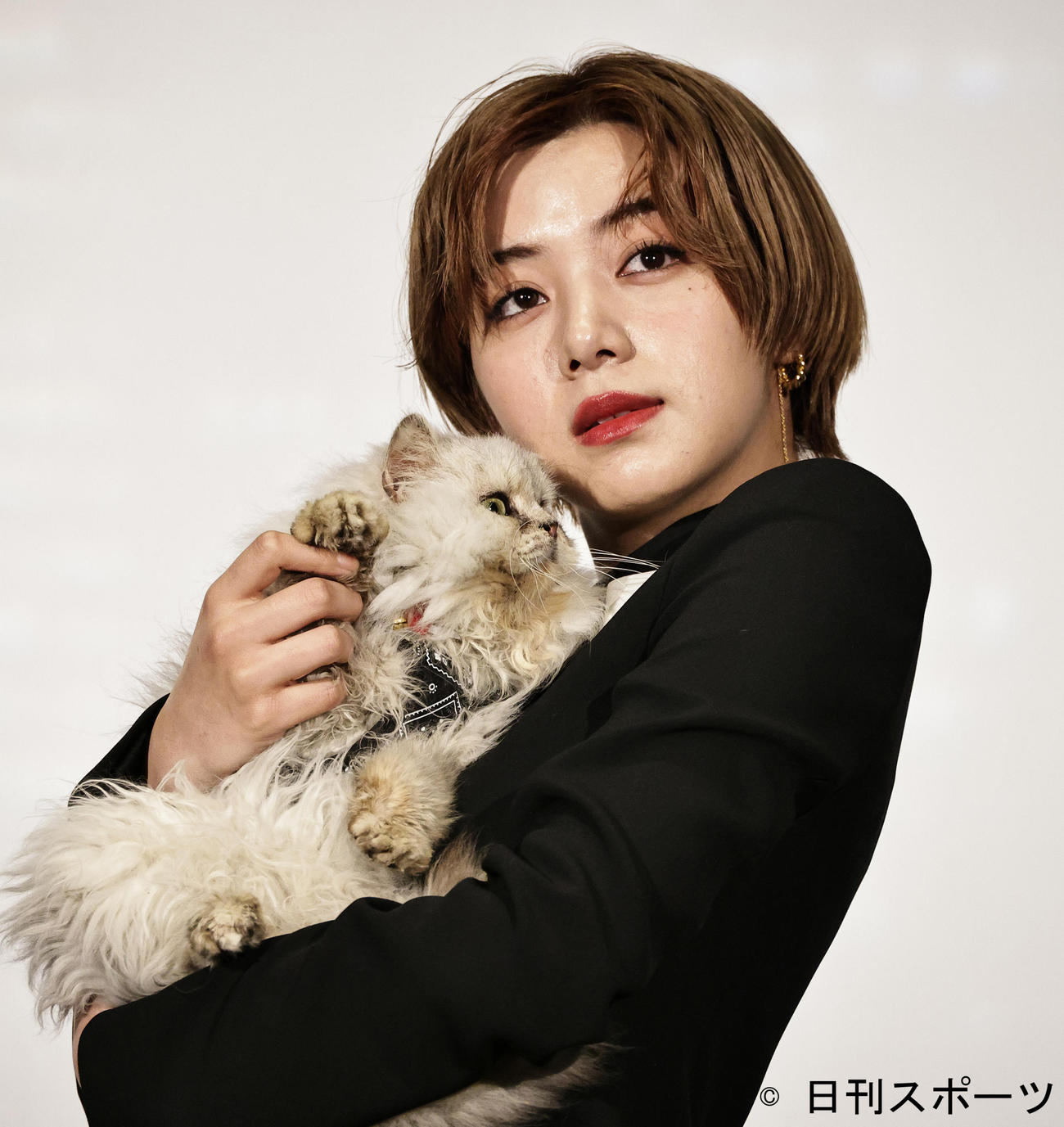 映画「真夜中乙女戦争」舞台あいさつで劇中に登場する猫“ビーツ”を抱く池田エライザ（撮影・中島郁夫）