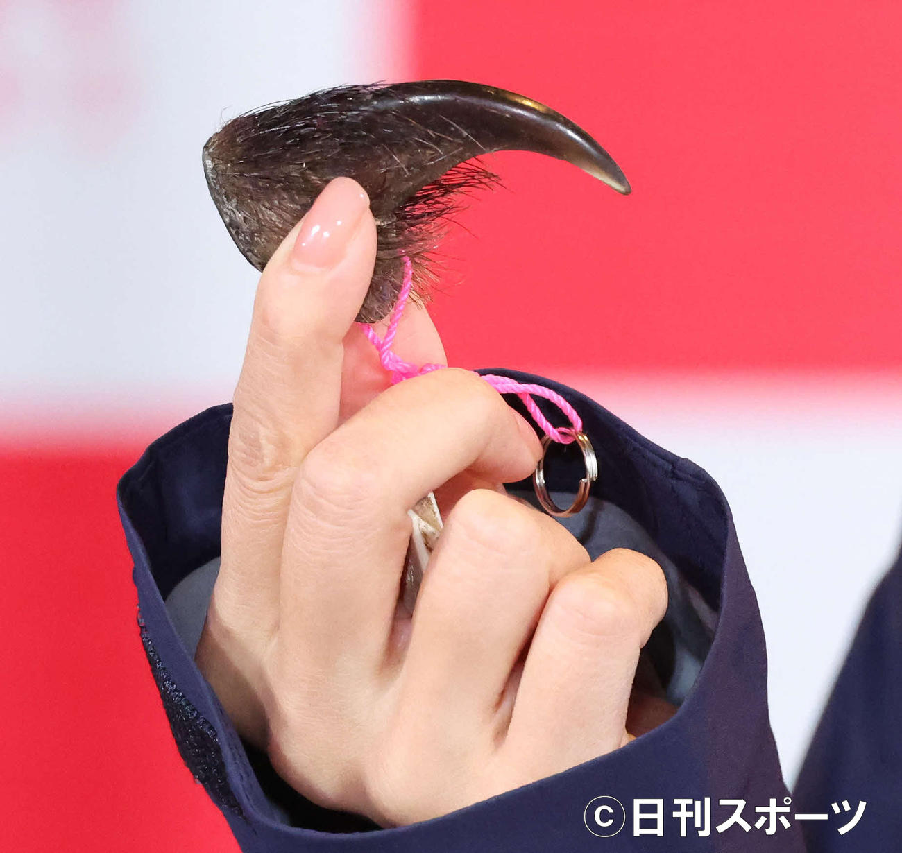 トークショーで狩猟者の方からもらった熊の爪を見せる柴咲コウ（撮影・丹羽敏通）