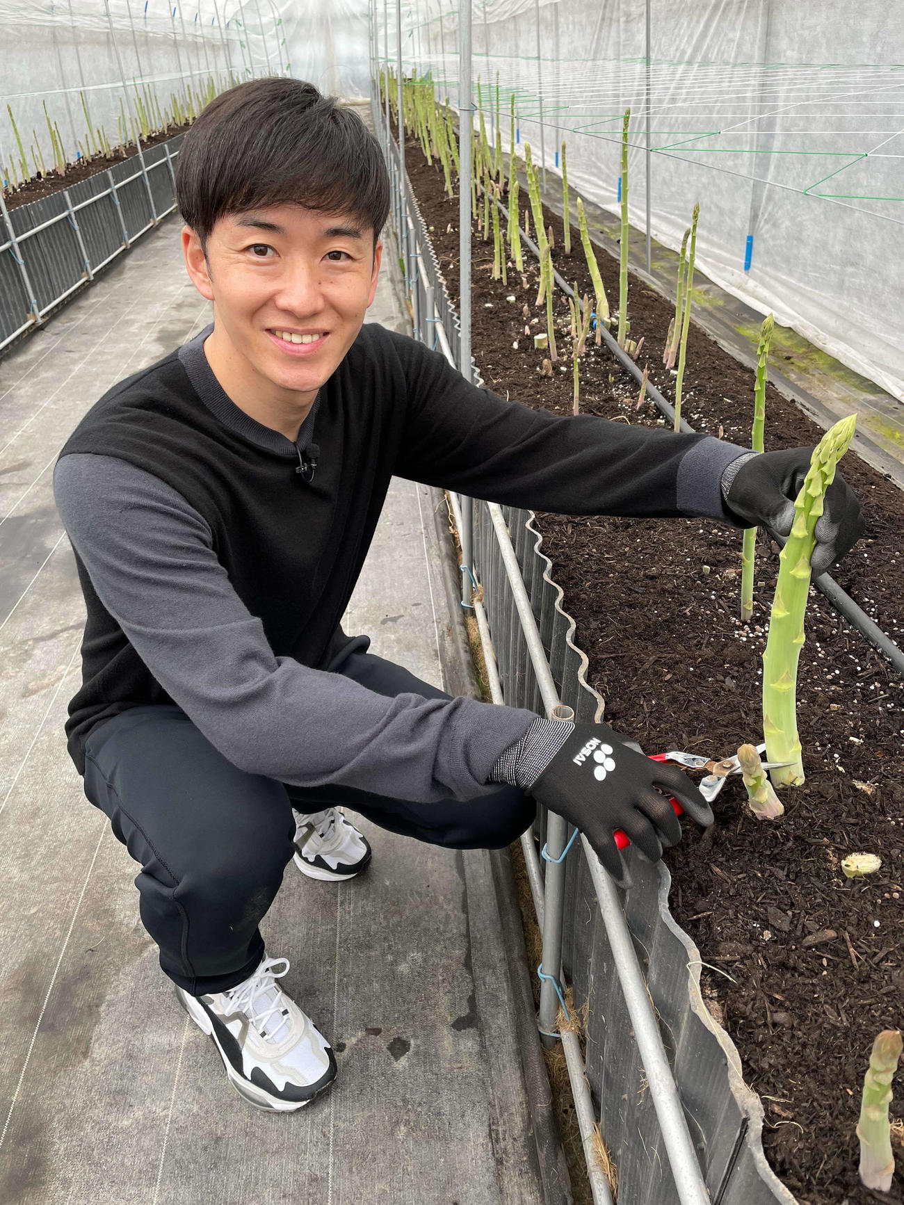 新コーナー「王子の旅」のロケでアスパラガスを持つ元プロ野球選手の斎藤佑樹氏