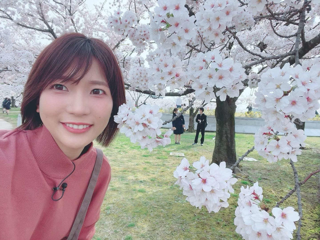新潟市の白山公園で。昼はかれんな表情を見せてくれました