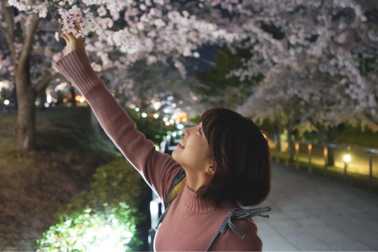 新潟市の白山公園で。夜は妖艶（ようえん）な表情を見せてくれました