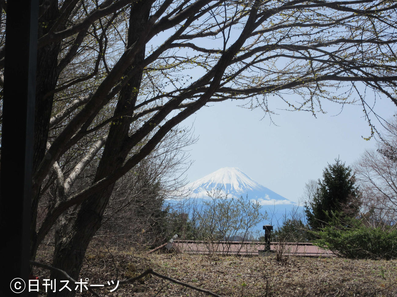柳生さんがお気に入りだった、八ヶ岳倶楽部のテラス席から見える富士山（撮影・加藤理沙）