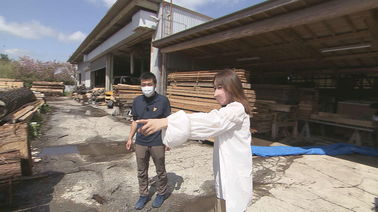 6日に千葉テレビで放送の「市町村てくてく散歩」で山武市を訪問し、山武杉の工芸品作りを体験する高田秋(C)チバテレ
