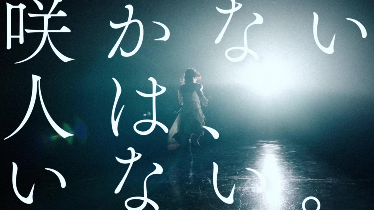 櫻坂46が新メンバー募集オーディション開催を発表した