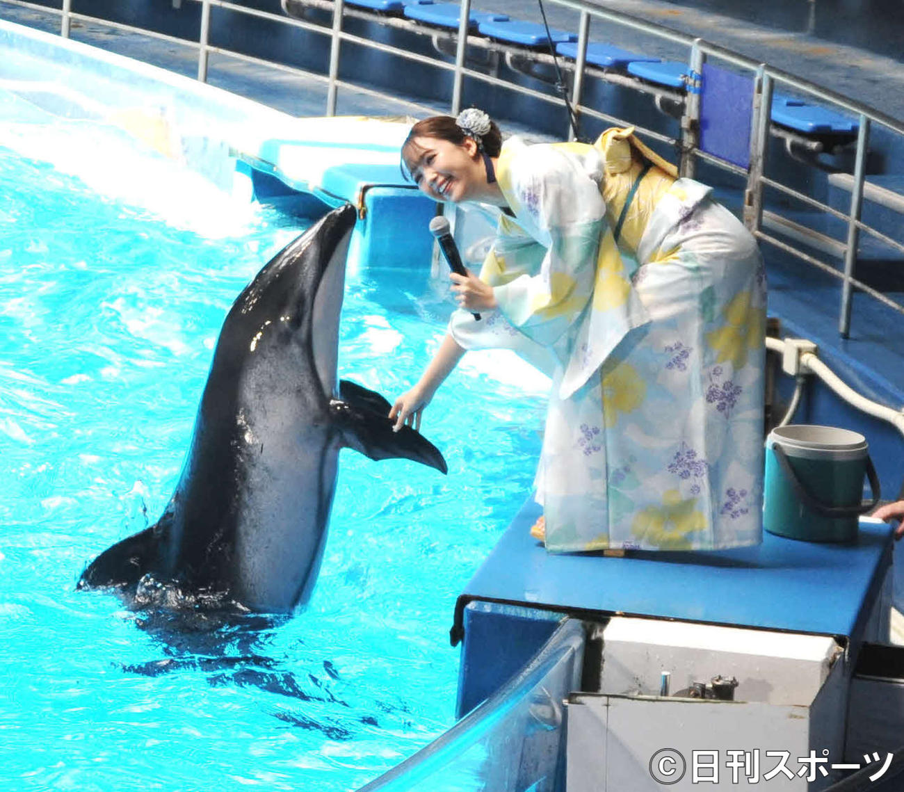 イルカと握手する藤田ニコル（撮影・松尾幸之介）