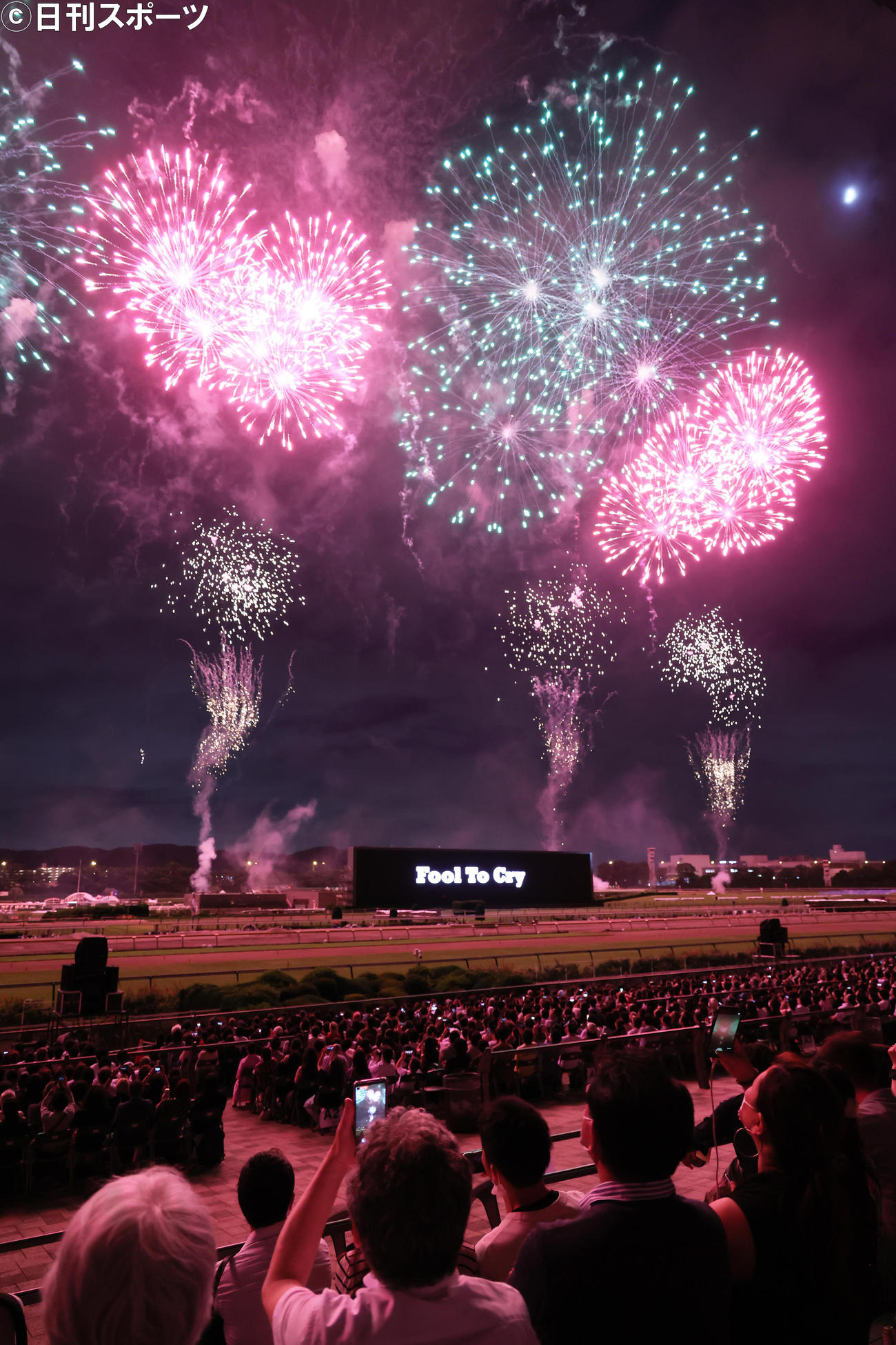 東京競馬場で花火を見る人たち（撮影・足立雅史）