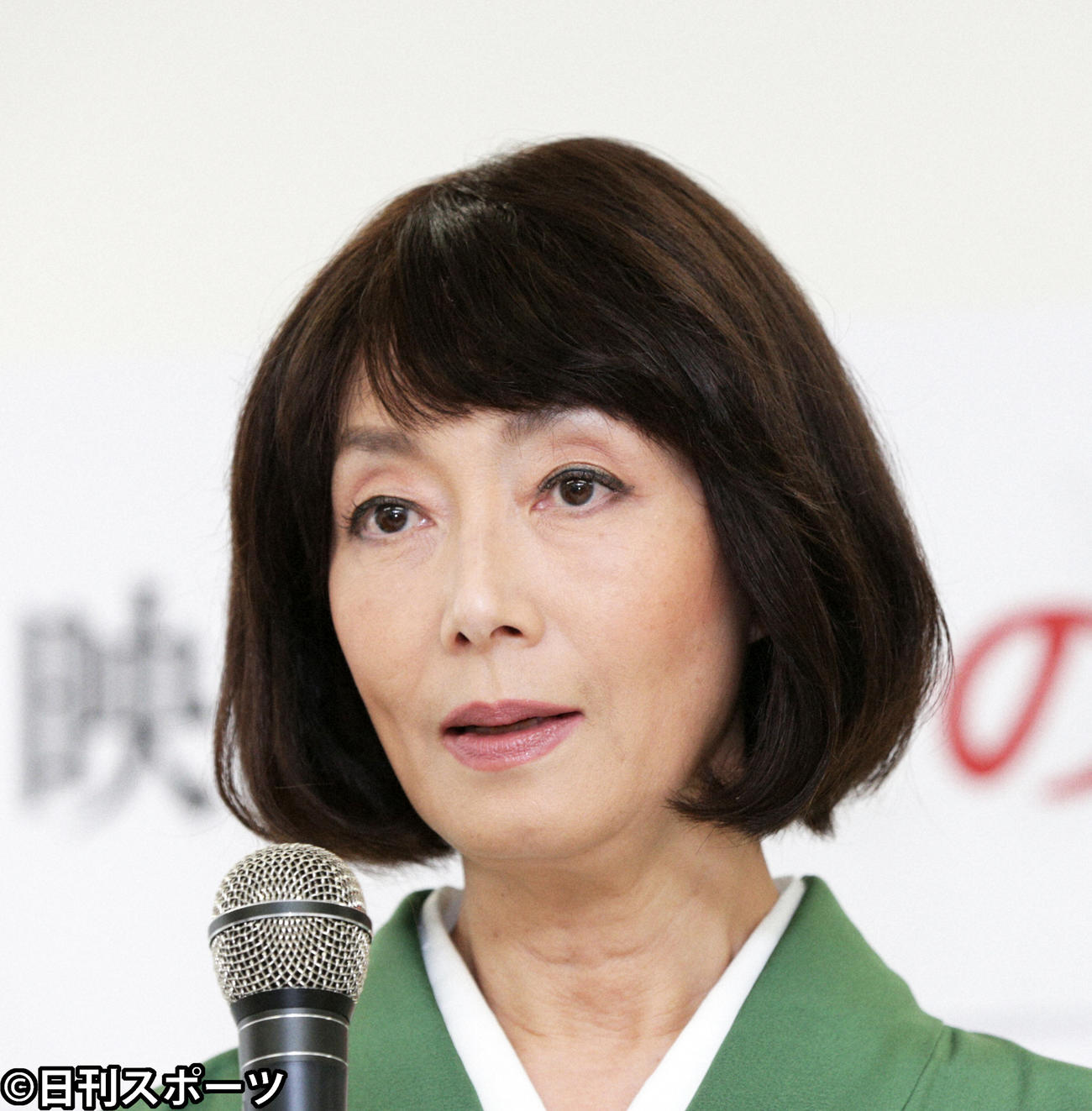 島田陽子さん（2015年撮影）