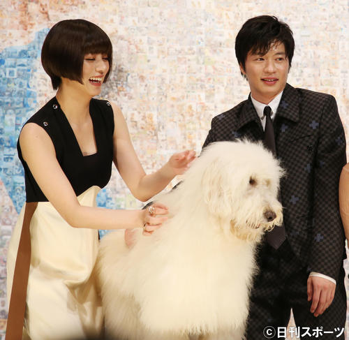 池田エライザ みんな骨抜き ハウ役ベックは天才俳優犬 よし の言葉で年相応のワンちゃんに シネマ写真ニュース 日刊スポーツ