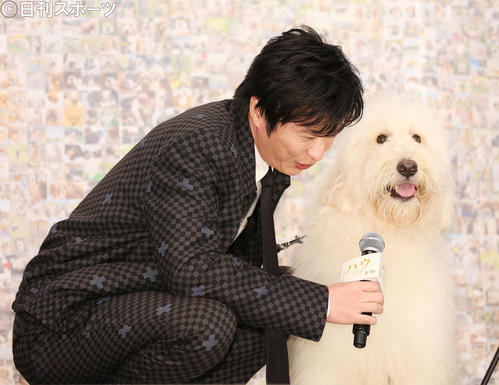 田中圭 どうも天才俳優犬ベックです 映画主人公ハウ役ベックの気持ち翻訳 シネマ 日刊スポーツ