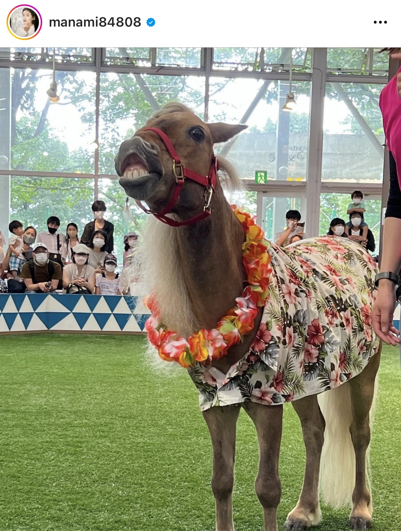 橋本マナミが楽しんだポニーショー（橋本マナミのインスタグラムより）