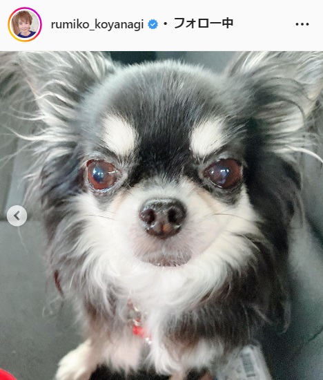 小柳ルミ子のインスタグラムより