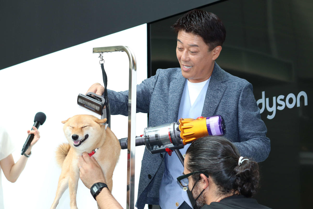 Dyson掃除機カテゴリー新製品発表会で、新製品を使って、柴犬ナナちゃんをグルーミングする坂上忍（撮影・加藤理沙）