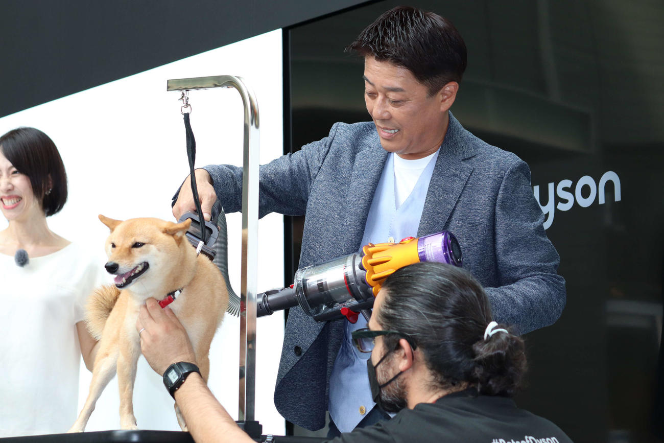 Dyson掃除機カテゴリー新製品発表会で、新製品を使って、柴犬ナナちゃんをグルーミングする坂上忍（撮影・加藤理沙）