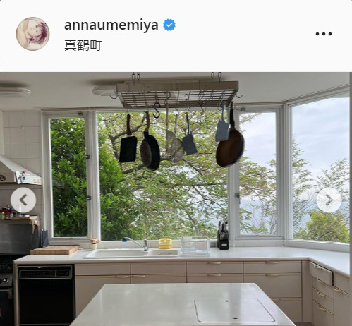 梅宮アンナのインスタグラムより