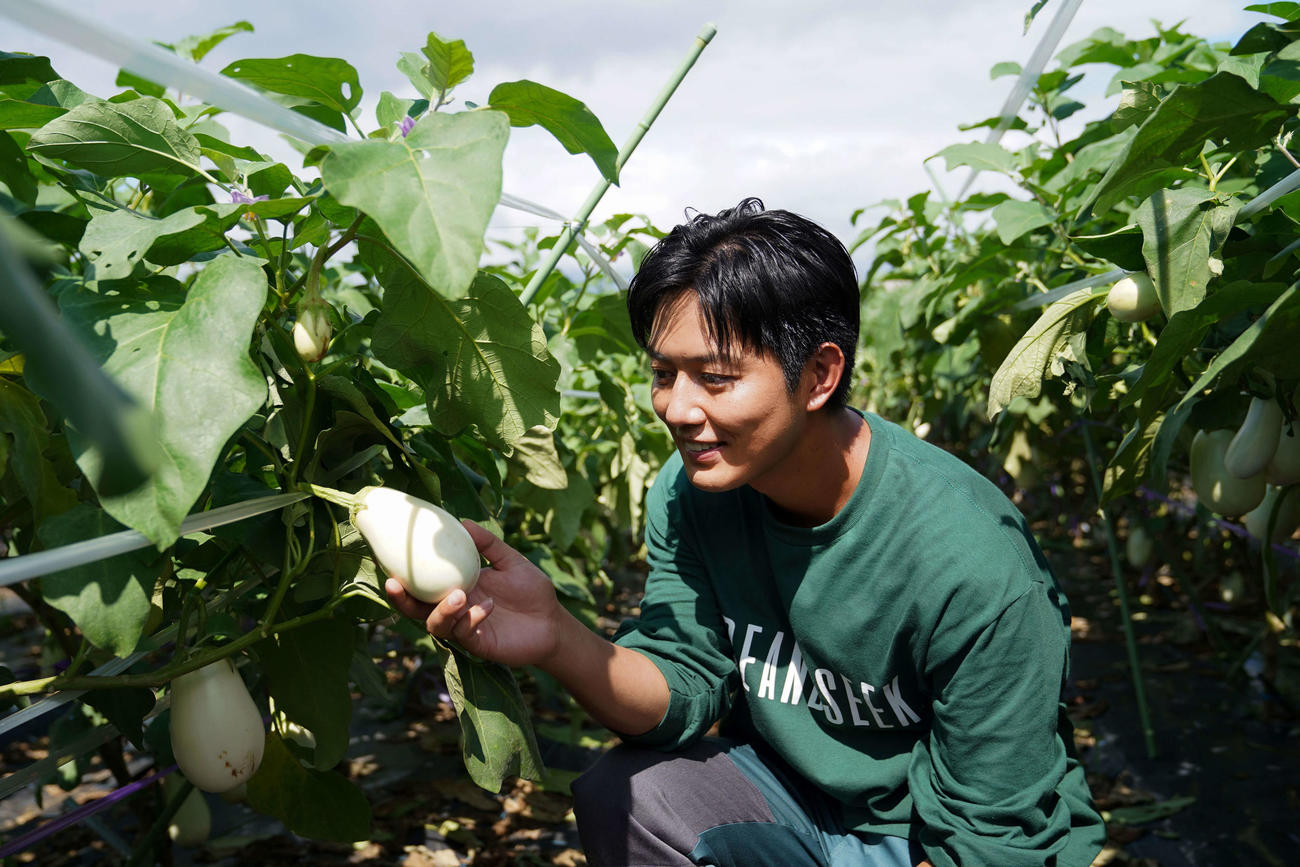 BS朝日で10月5日にスタートする新番組「工藤阿須加が行く　農業始めちゃいました」で初の冠番組を持つ工藤阿須加