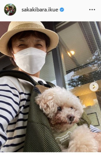 愛犬を前抱っこして病院に連れていった榊原郁恵（インスタグラムより）