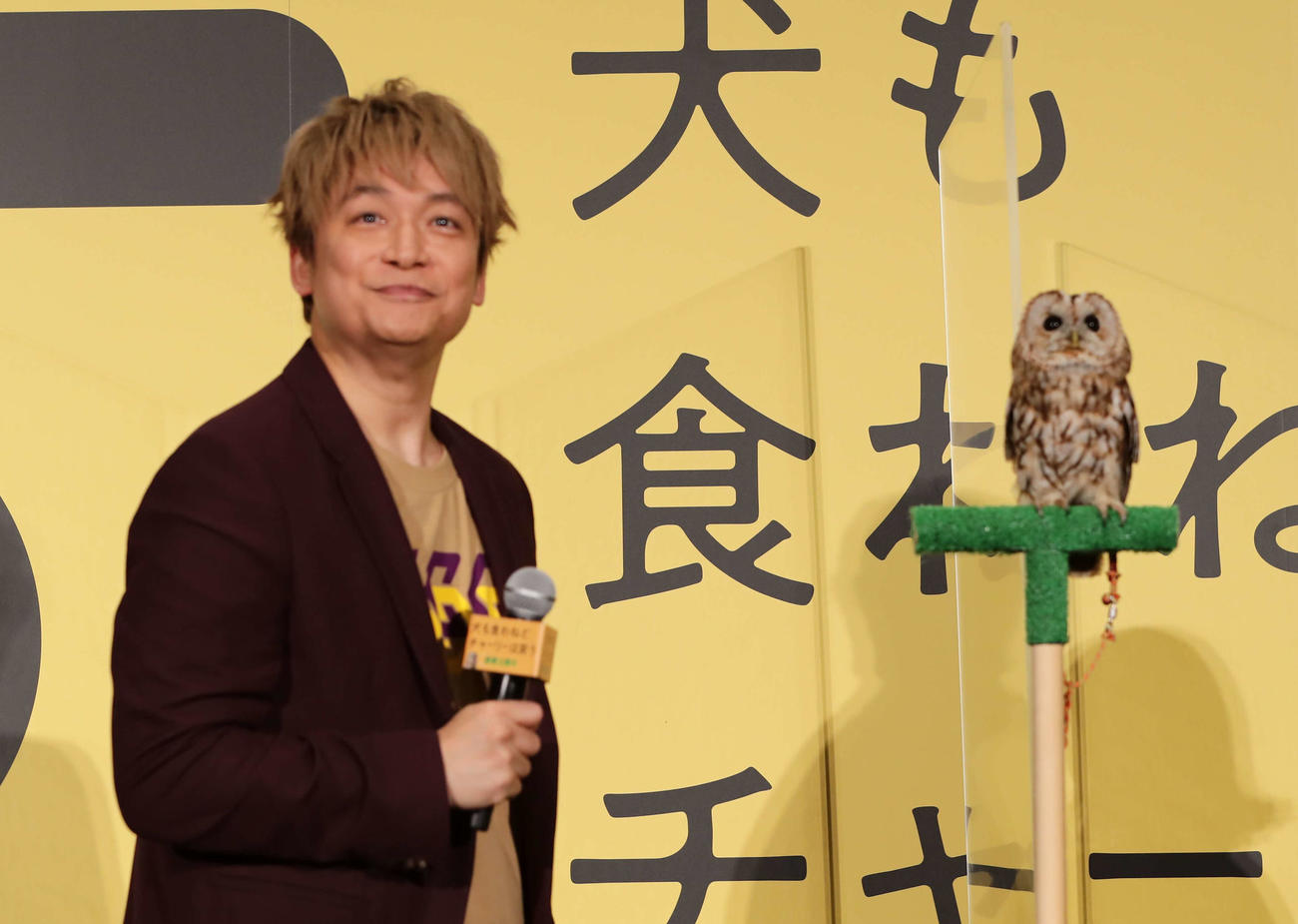 映画「犬も食わねどチャーリーは笑う」の公開記念舞台挨拶でフクロウのマルちゃんと同じ方向を見つめる香取慎吾（撮影・星夏穂）