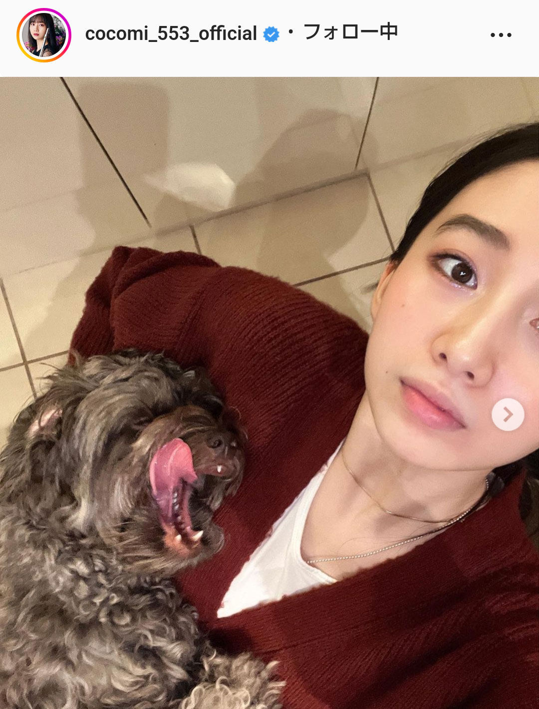 Cocomiのインスタグラムより