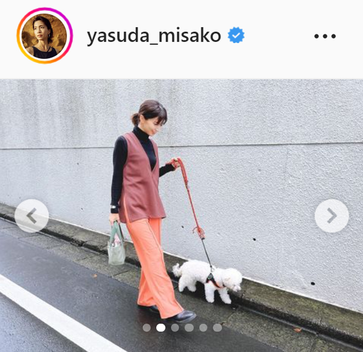 愛犬「はんな」と散歩する安田美沙子（安田美沙子のインスタグラムより）